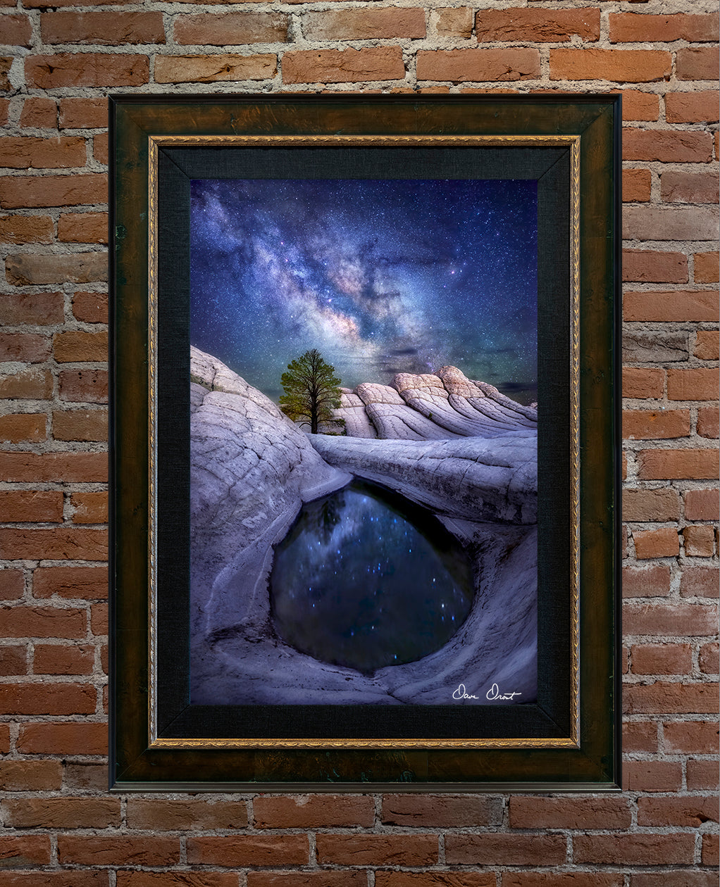 Dave Drost Photograph - 'Illuminated'