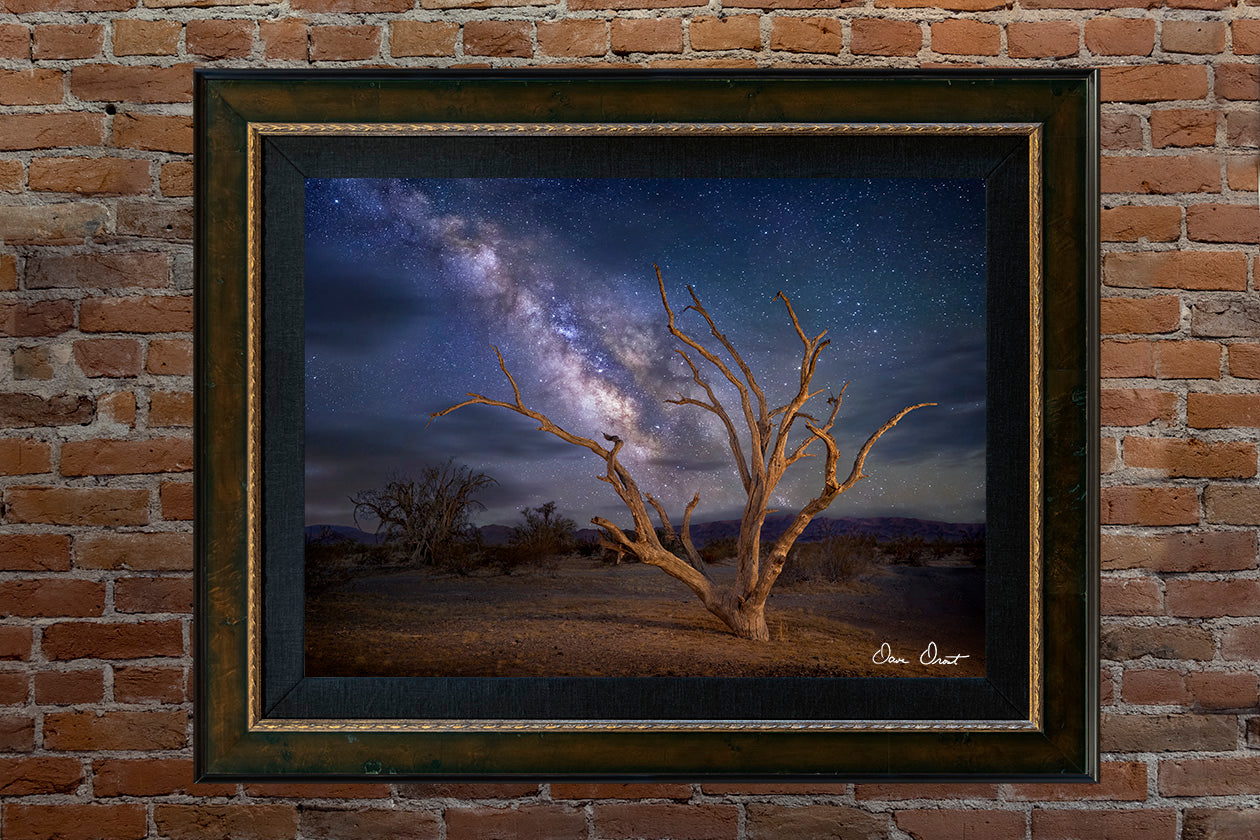 Dave Drost Photograph - 'Ironwood Night'