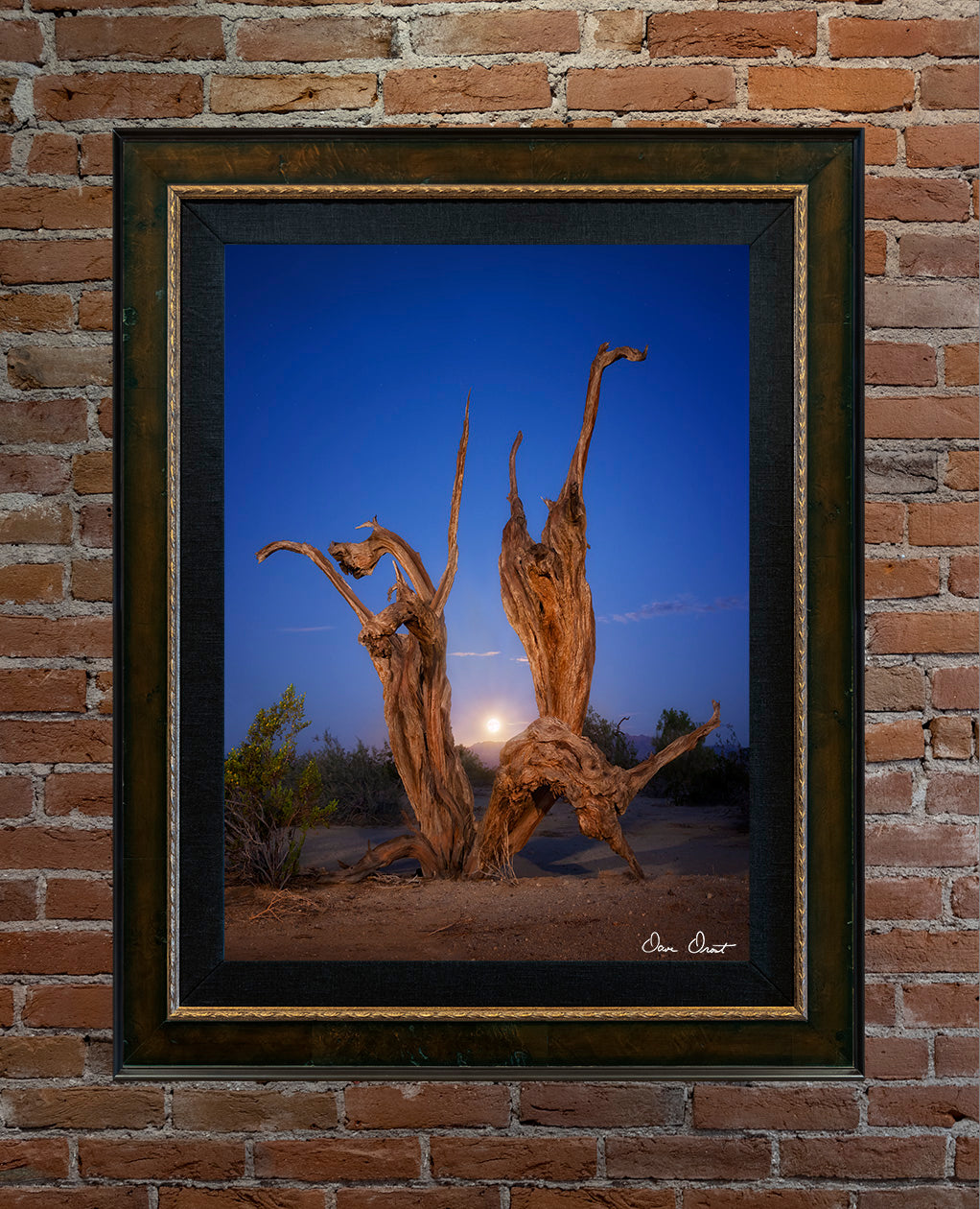 Dave Drost Photograph - 'Dancing in the Moonlight’