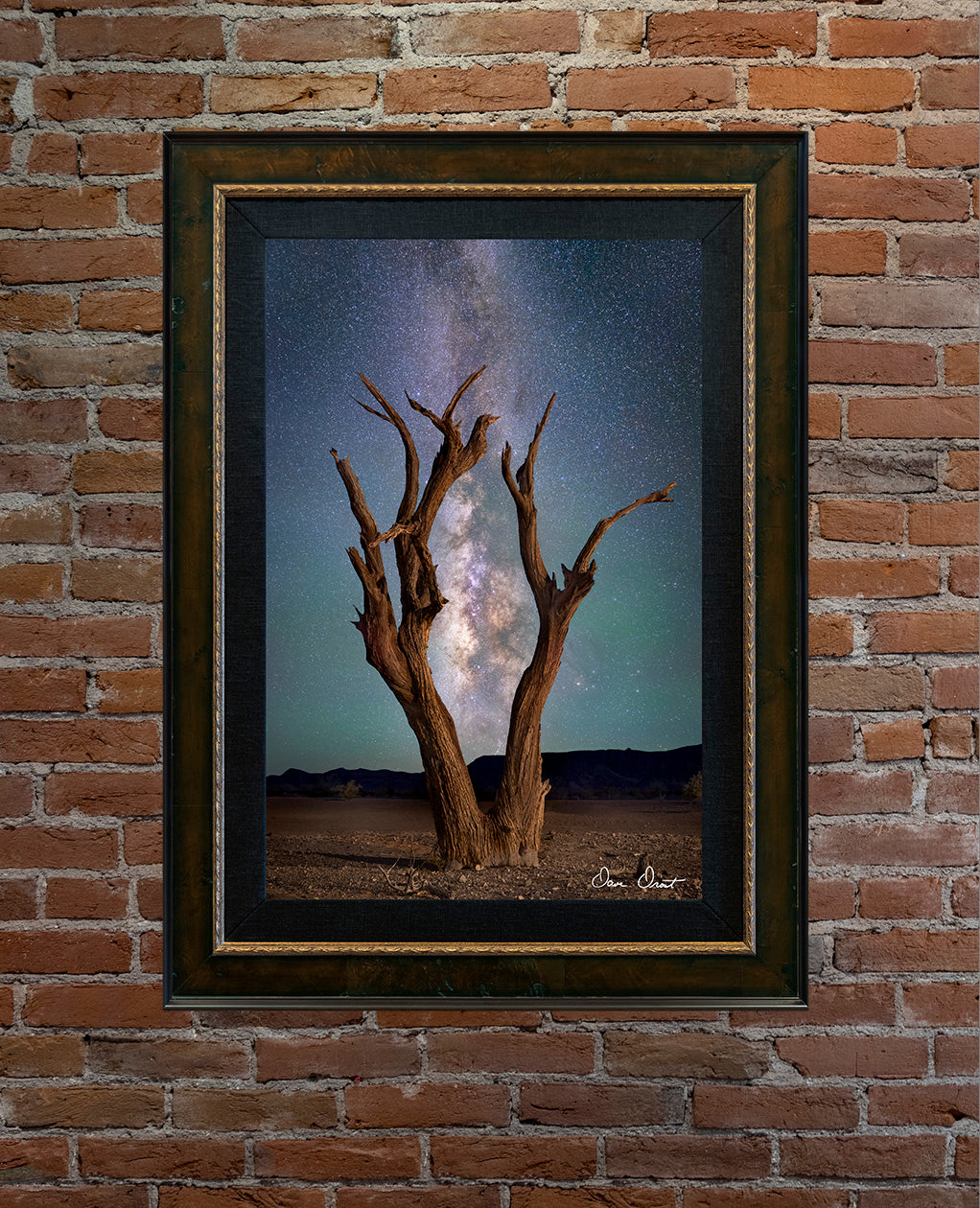 Dave Drost Photograph - 'Among The Ancients'