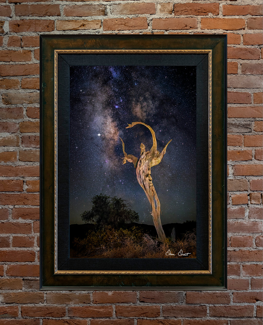 Dave Drost Photograph - 'Desert Angel'