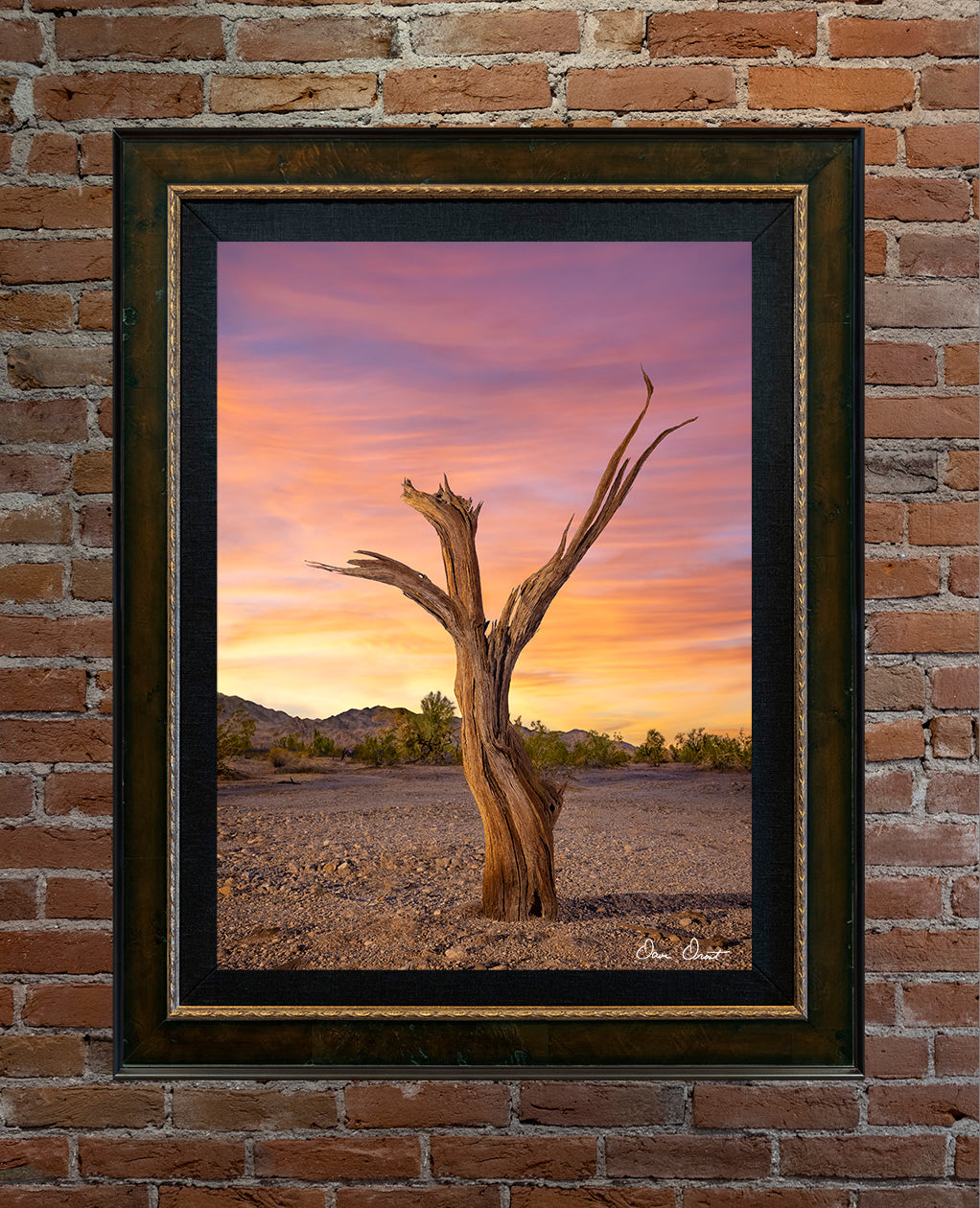 Dave Drost Photograph - 'The Phoenix'