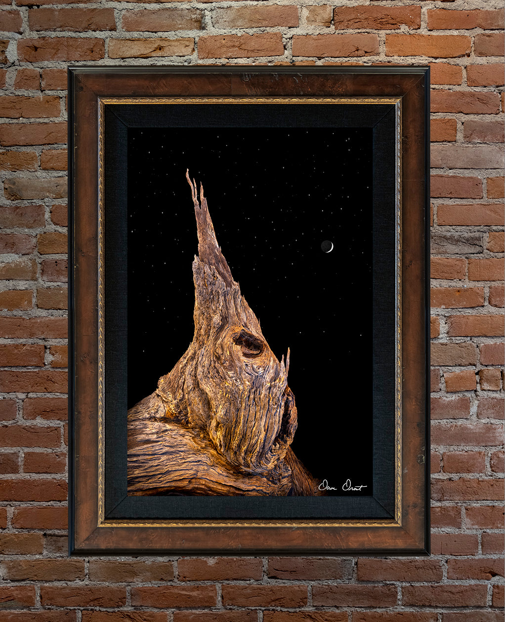 Dave Drost Photograph - 'Alien'