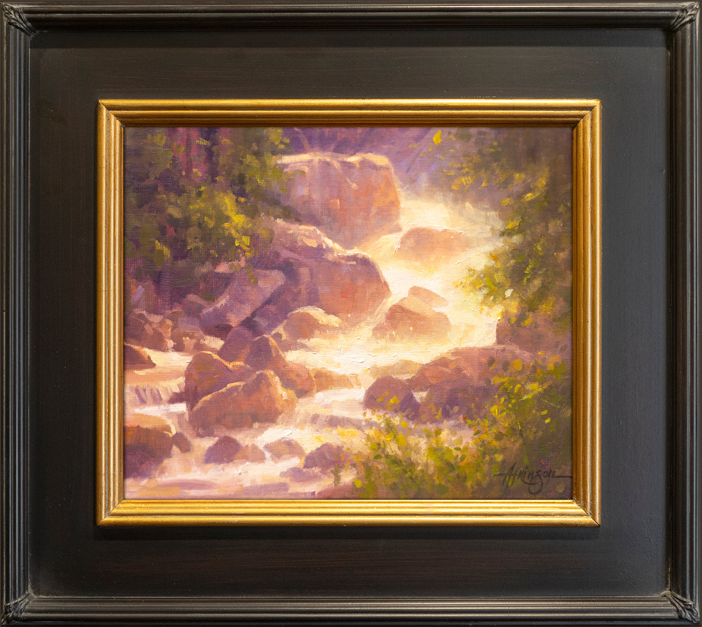 Contre Jour Waterfall by Steve Atkinson