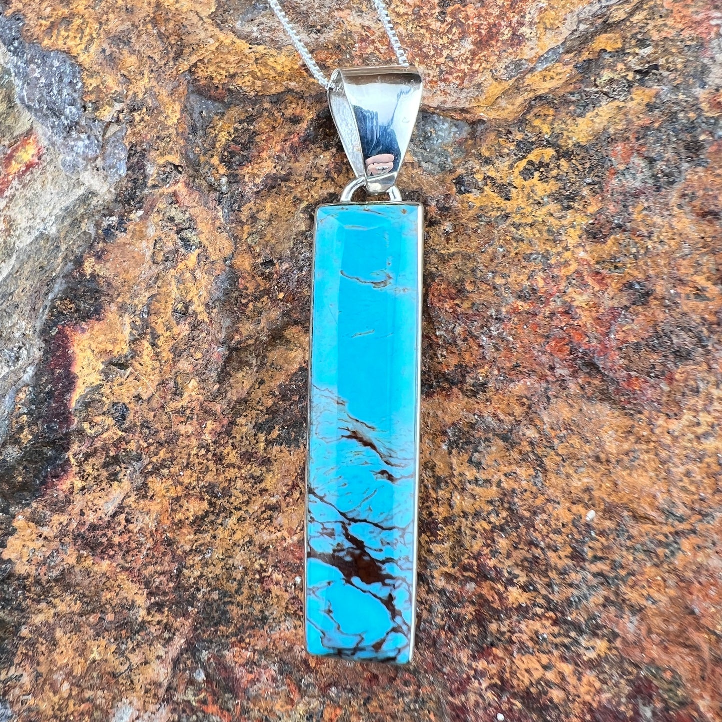 Prince Turquoise Pendant by Cathy Webster