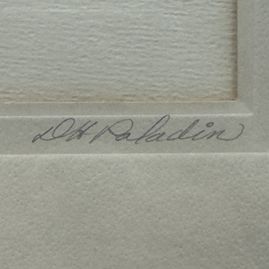 Granite Dells by David Paladin, Navajo