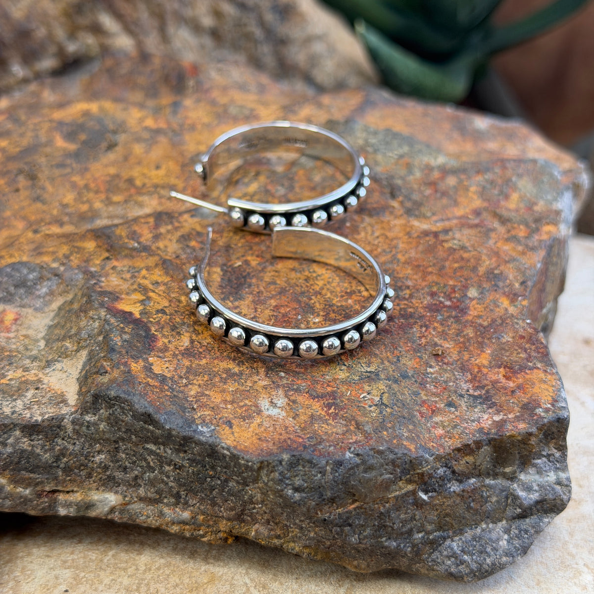 Sterling Silver Hoop Center Dot Earrings by Artie Yellowhorse - Medium