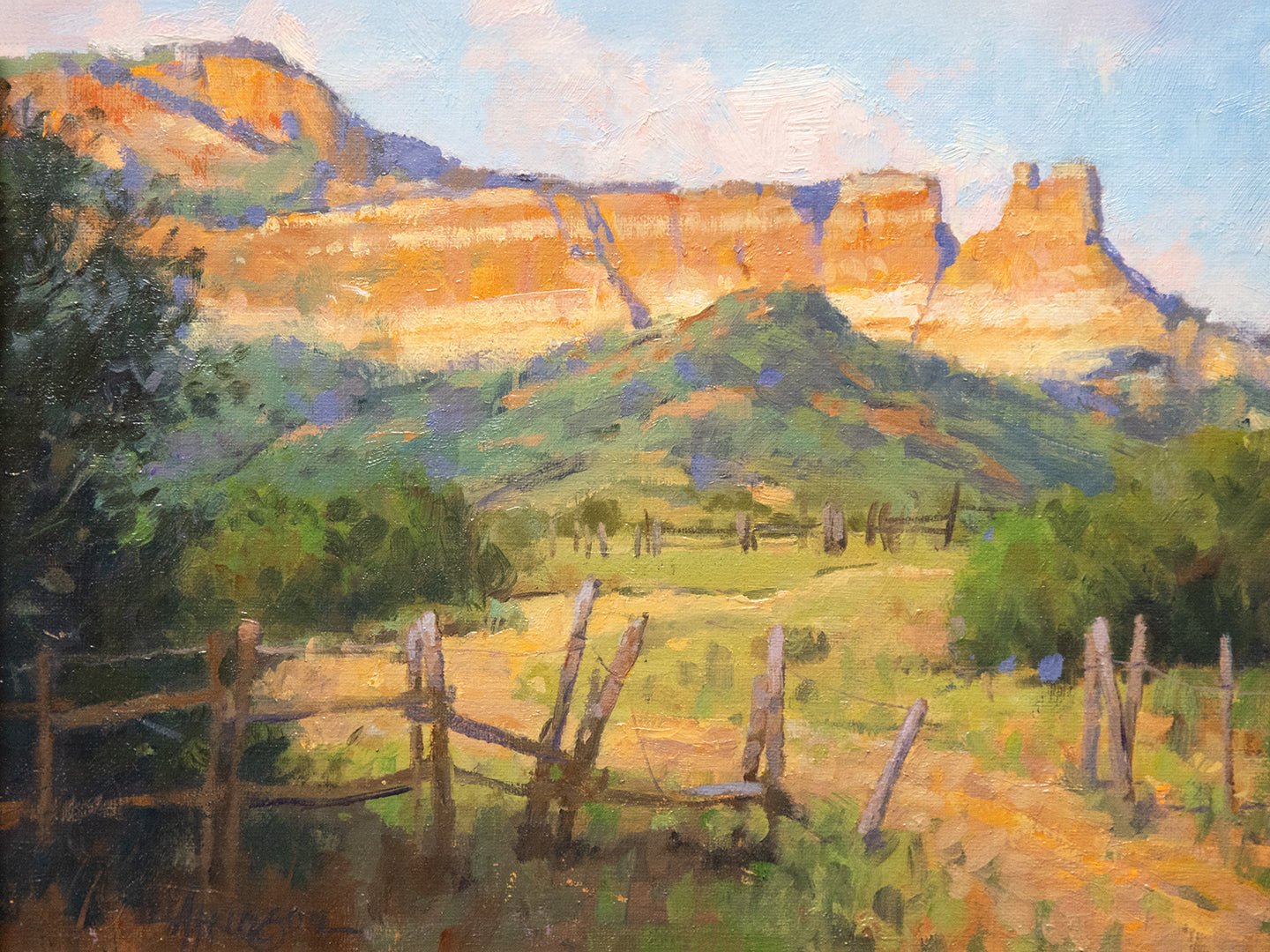 'Where the Deer and Antelope Play' by Steve Atkinson