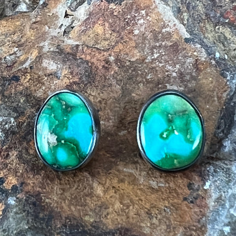 Sonoran Gold Turquoise Sterling Silver Earrings by Bernyse Chavez