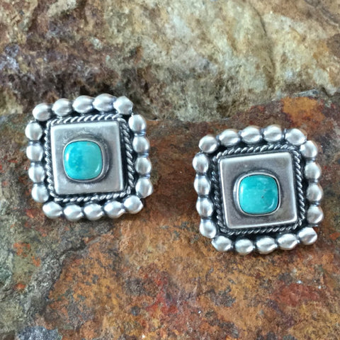Fox Turquoise Sterling Silver Earrings by D Sturngaton