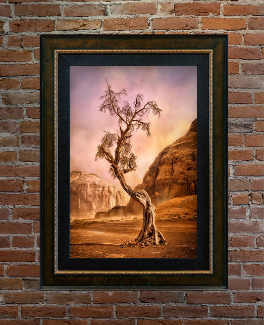 Dave Drost Photograph - 'Windswept'