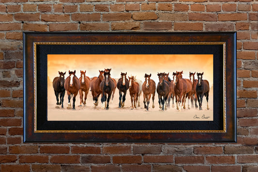 Dave Drost Photograph - 'Line Dancing'