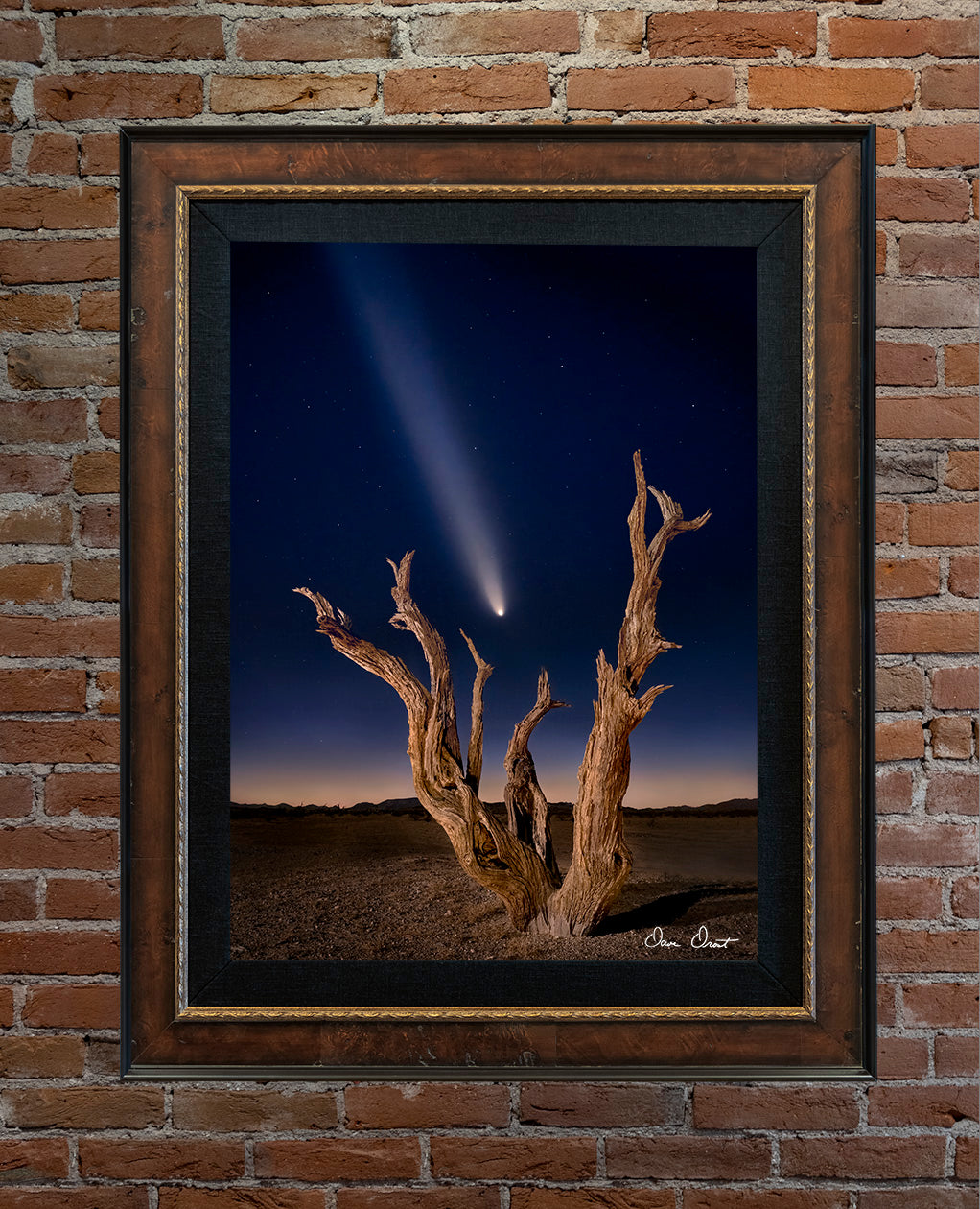 Dave Drost Photograph - 'Far and Away'