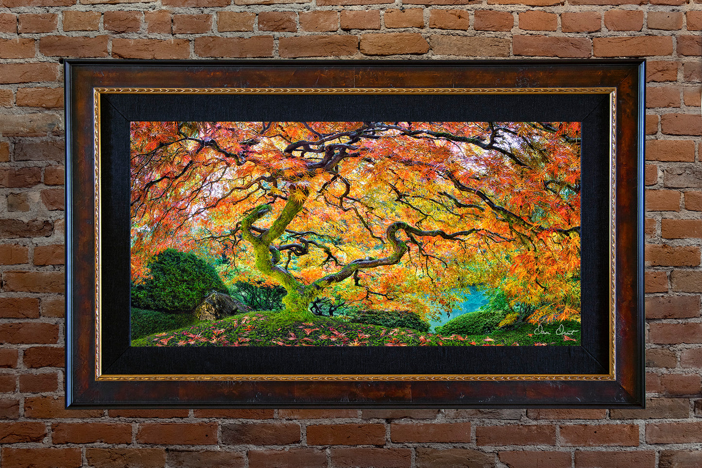 Dave Drost Photograph - 'Autumn Dreams'