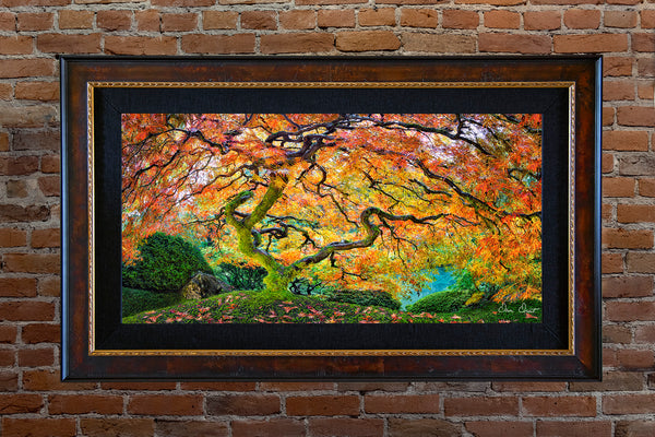 Dave Drost Photograph - 'Autumn Dreams'