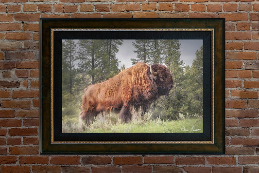 Dave Drost Photograph - 'The Bison King’