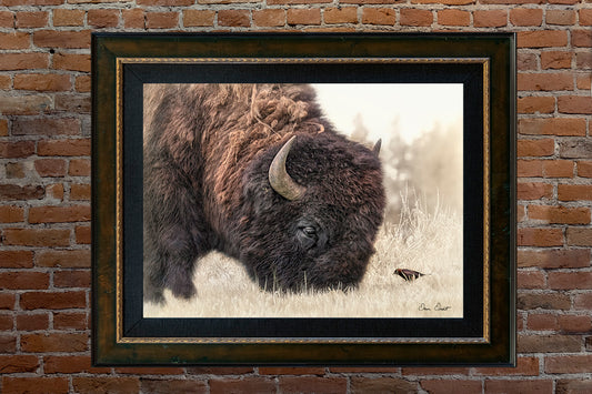 Dave Drost Photograph - 'Watching and Waiting’