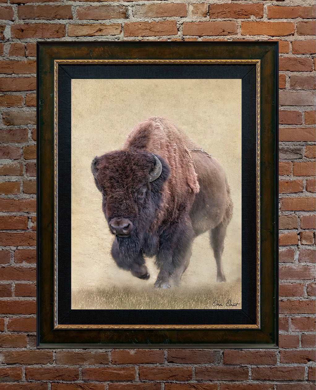 Dave Drost Photograph - 'Passing By’