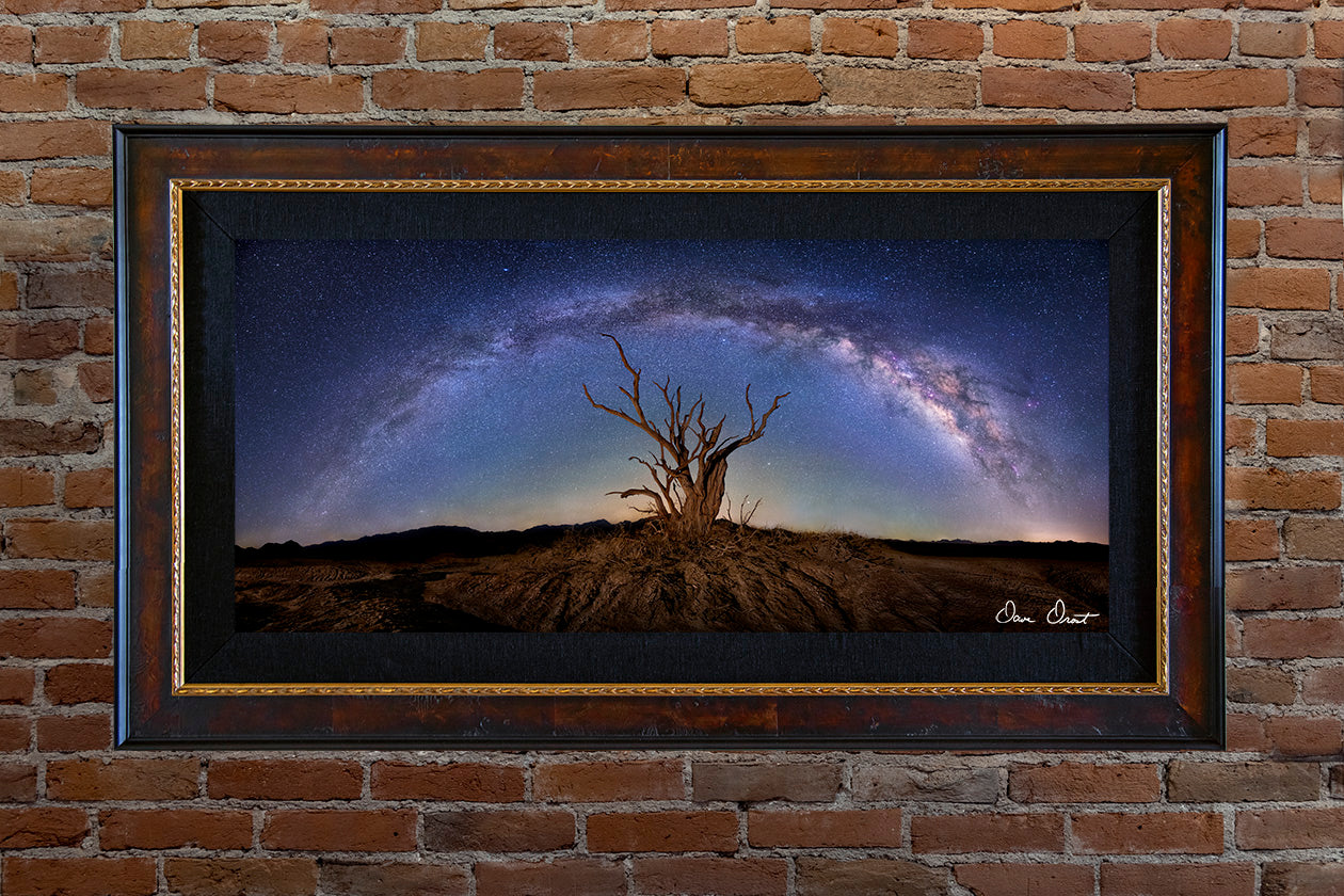 Dave Drost Photograph - 'Wicked'