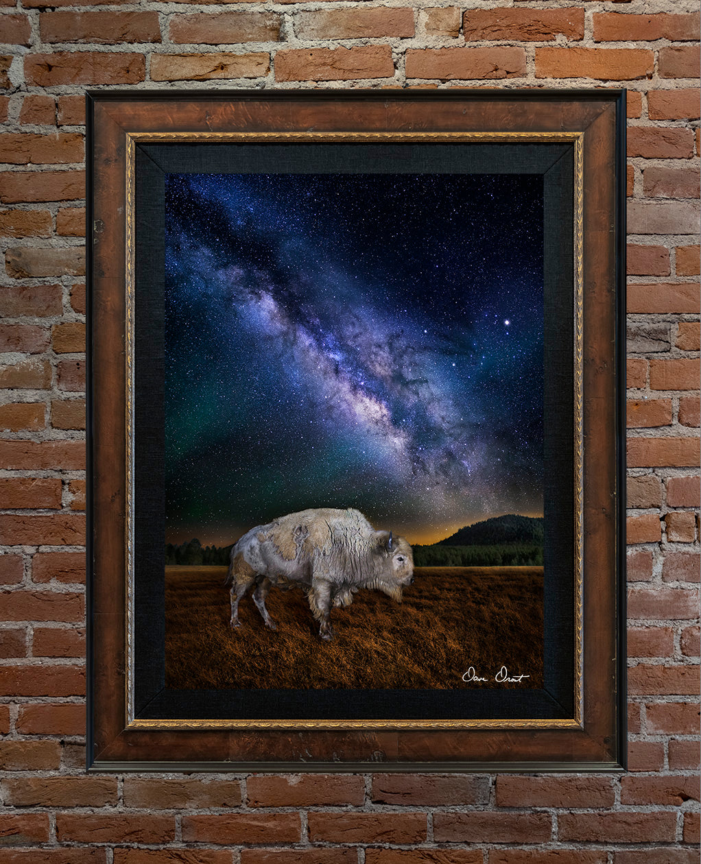 Dave Drost Photograph - 'White Buffalo under the Stars'