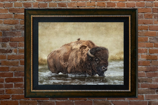 Dave Drost Photograph on Canvas - 'Hitch Hiker'