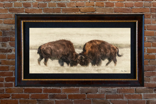 Dave Drost Photograph - 'Battle For Dominance’