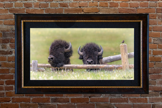 Dave Drost Photograph - 'Two Bros and a Bird'