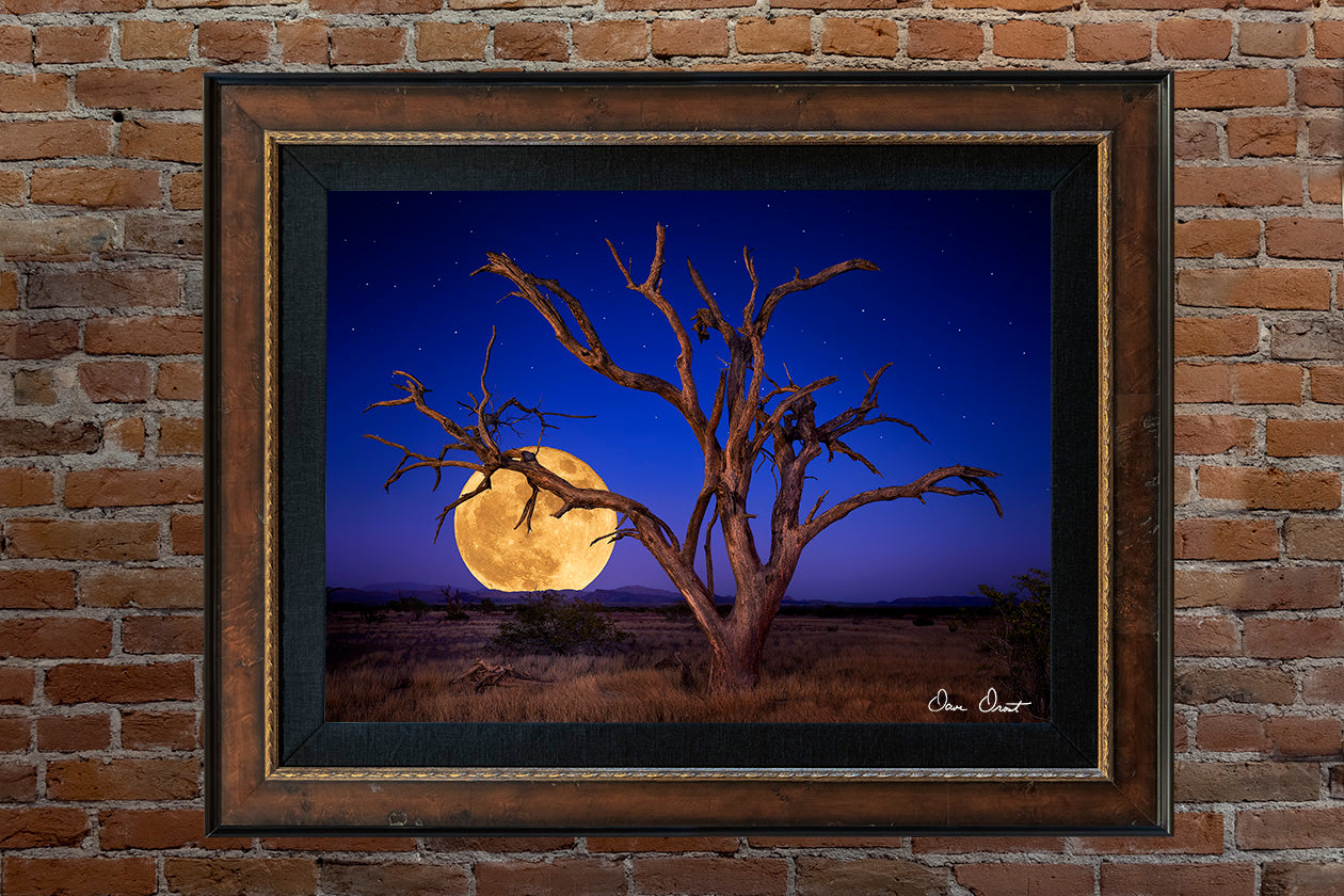 Dave Drost Photograph - 'Sonoran Moon Rise'