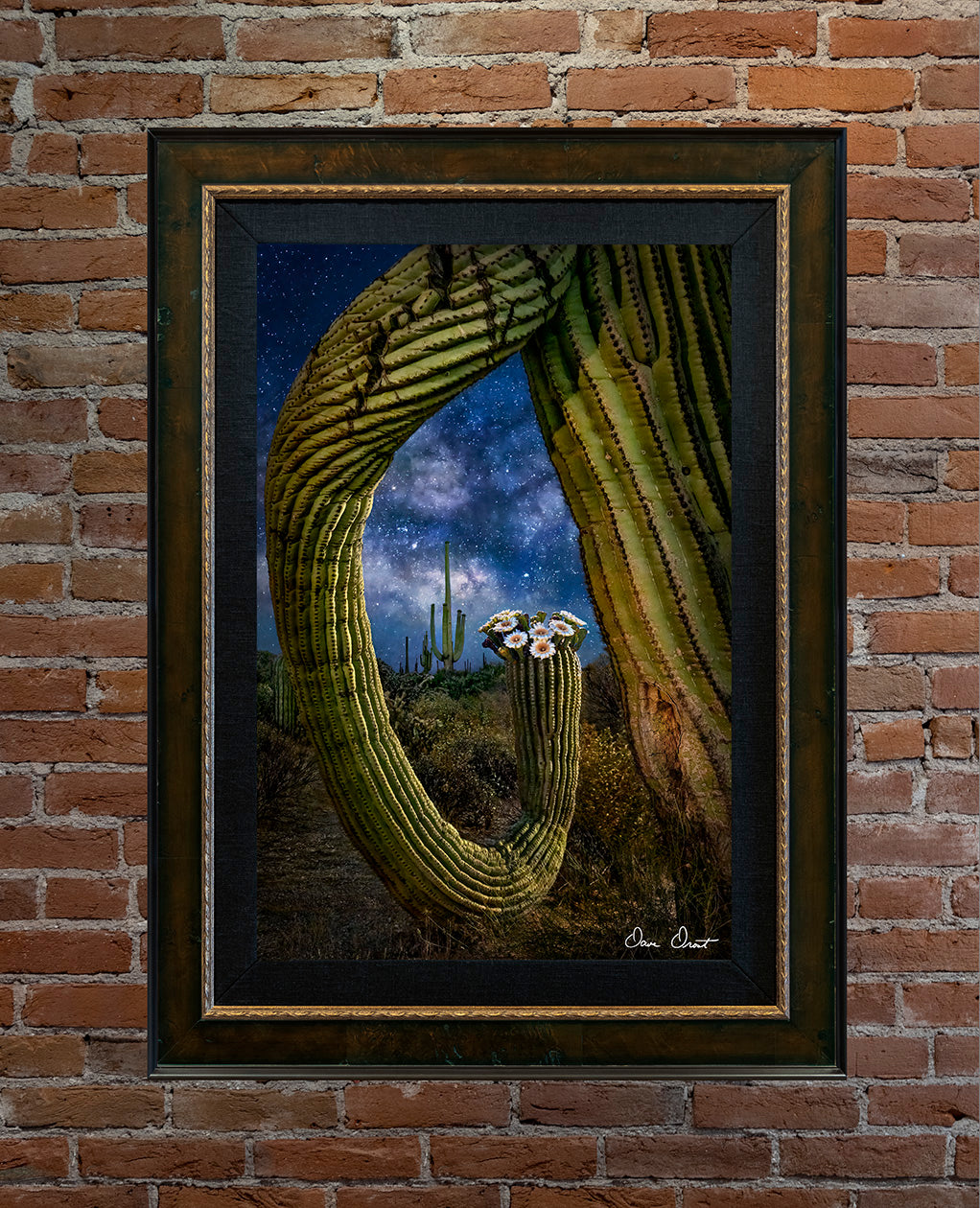 Dave Drost Photograph - 'Eye of The Saguaro'