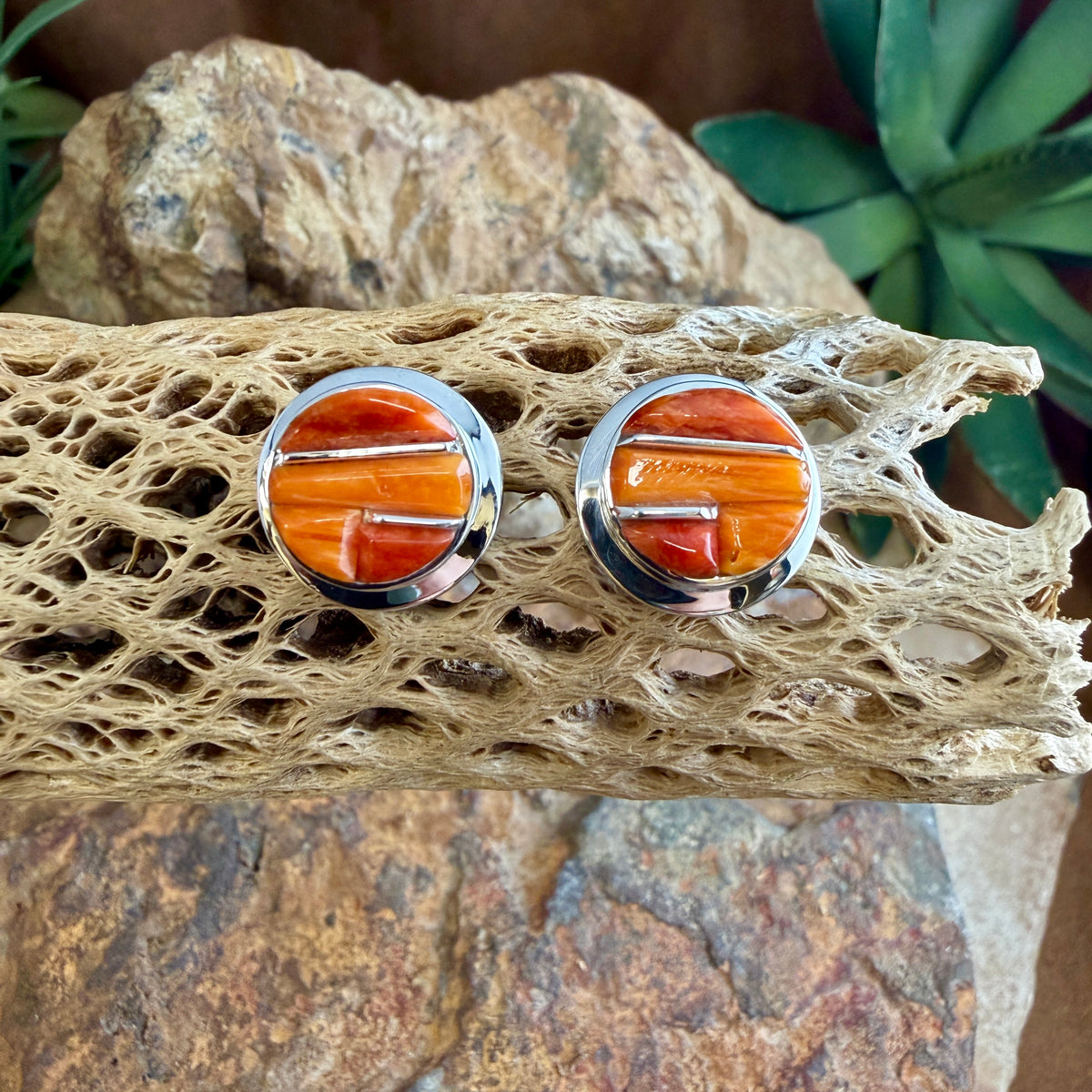 Spiny Oyster shell cobble inlay and sterling post earrings displayed on cactus bone. 