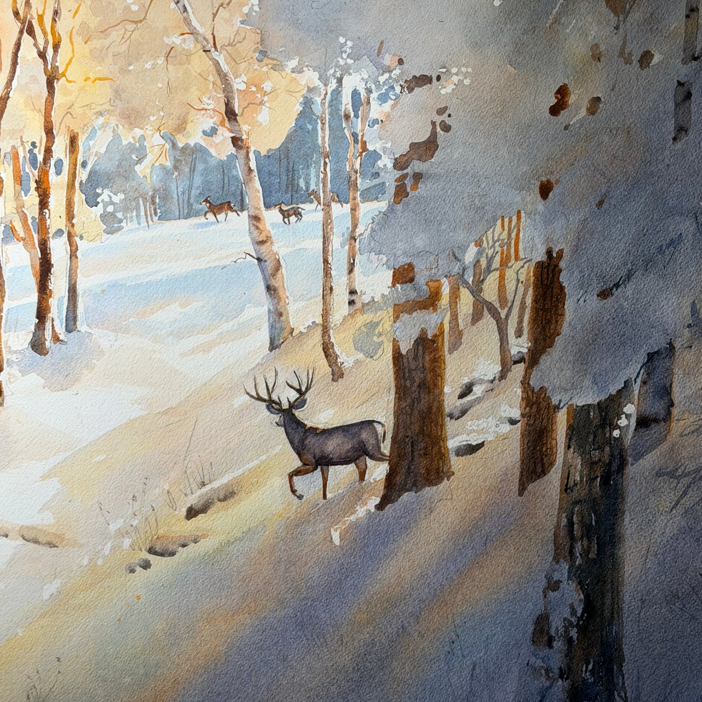 Winter landscape with deer in a snowy forest
