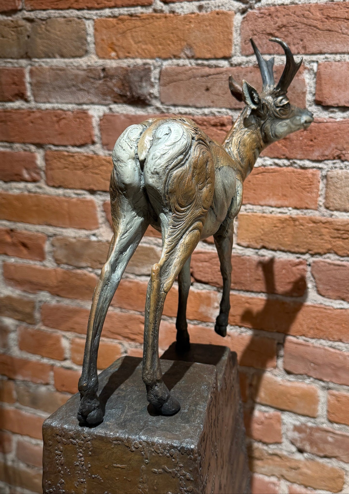 'Higher Ground' by Heather Johnson Beary