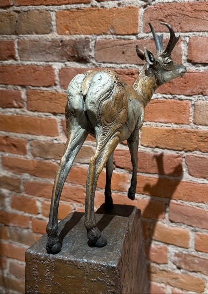 'Higher Ground' by Heather Johnson Beary