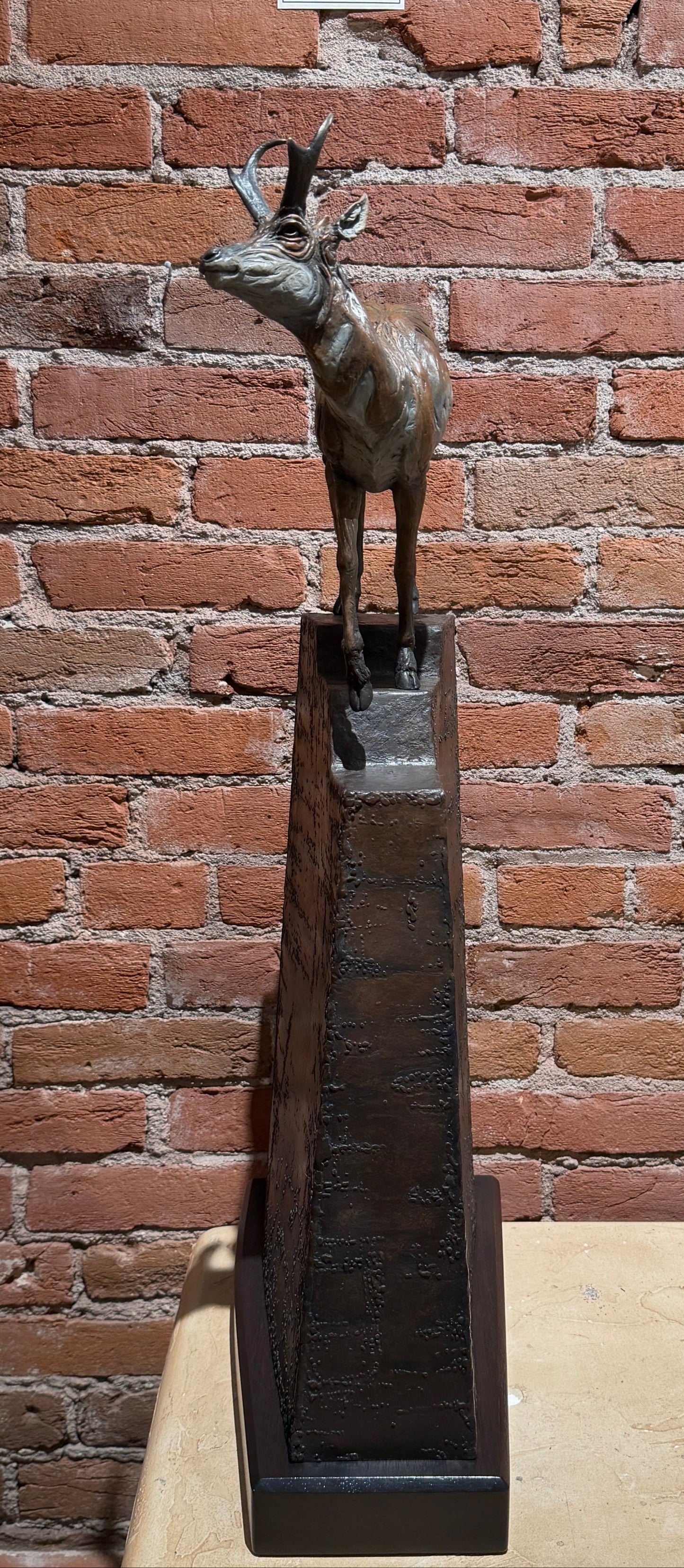 'Higher Ground' by Heather Johnson Beary