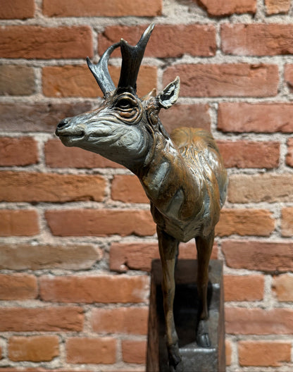 'Higher Ground' by Heather Johnson Beary