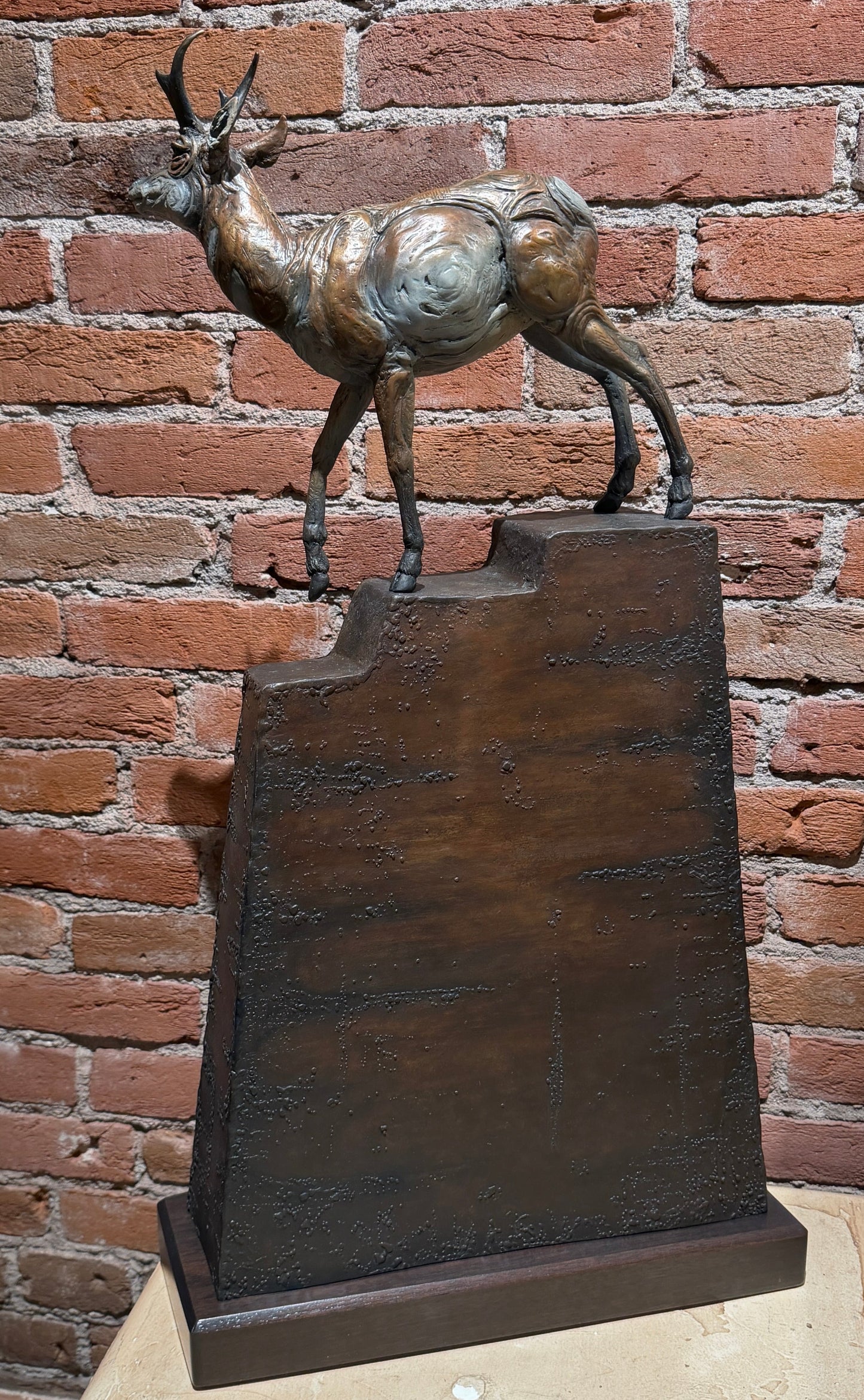 'Higher Ground' by Heather Johnson Beary