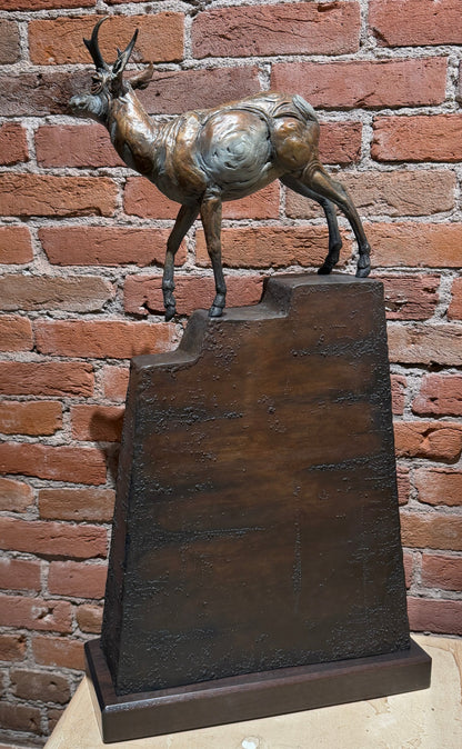 'Higher Ground' by Heather Johnson Beary