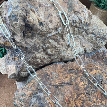 David Rosales Arizona Blue Inlaid Necklace with Sterling Silver Link Chain