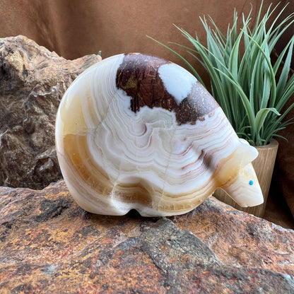 Assorted Zuni Hand-Carved Fetishes