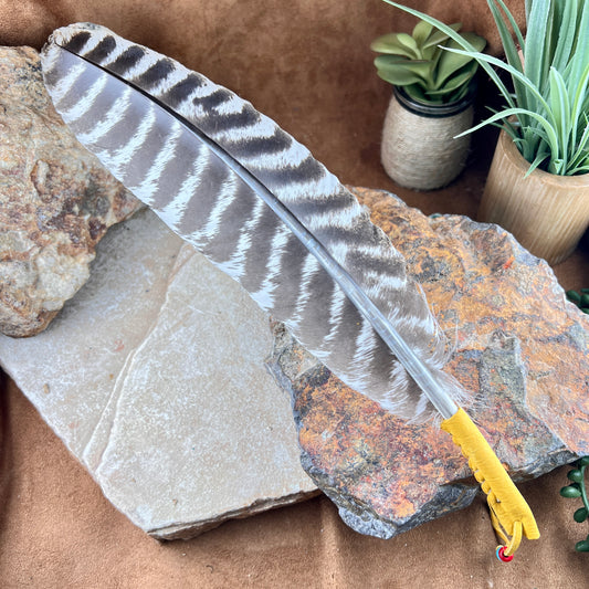 Turkey Smudge Feathers