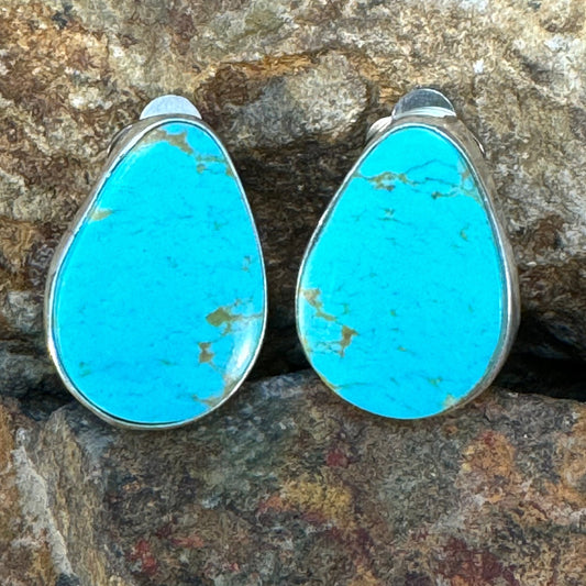 Kingman Turquoise Sterling Silver Clip Earrings