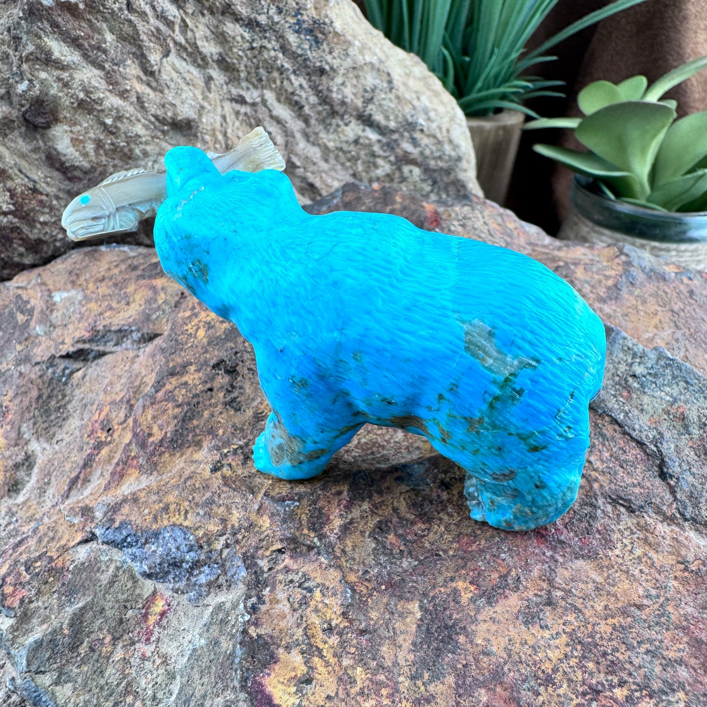 Hand Carved Zuni Fetish Turquoise Bear with Fish by Herb Him