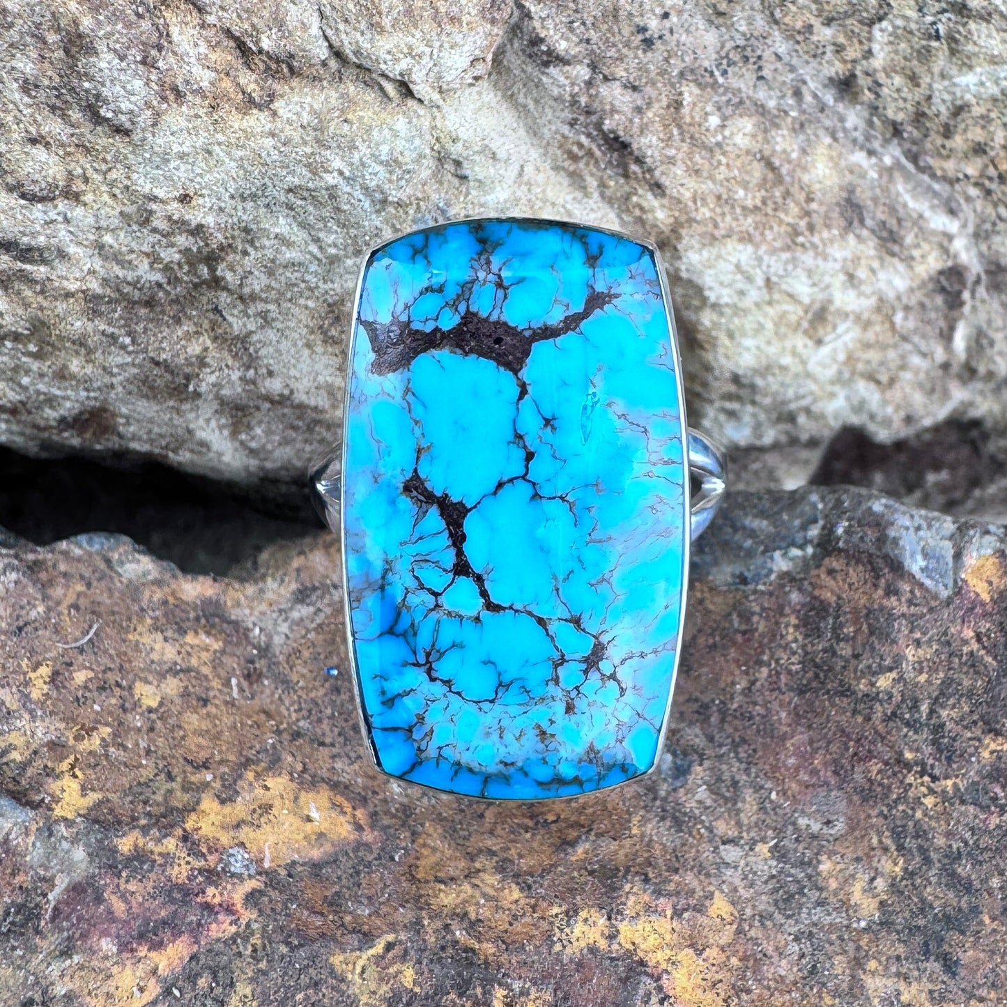 Prince Egyptian Turquoise Sterling Silver Ring by Kathy Webster