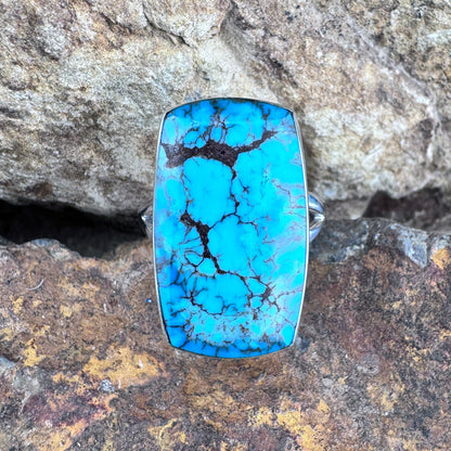 Prince Egyptian Turquoise Sterling Silver Ring by Kathy Webster