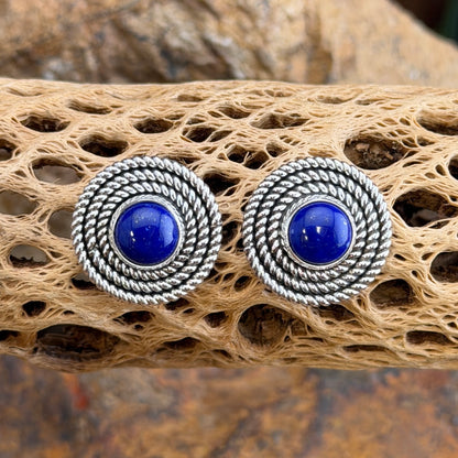 A pair of silver-toned spiral stud earrings with deep blue oval centers, displayed on a textured tan driftwood piece.