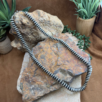 Silver necklace on a rock with plants in the background