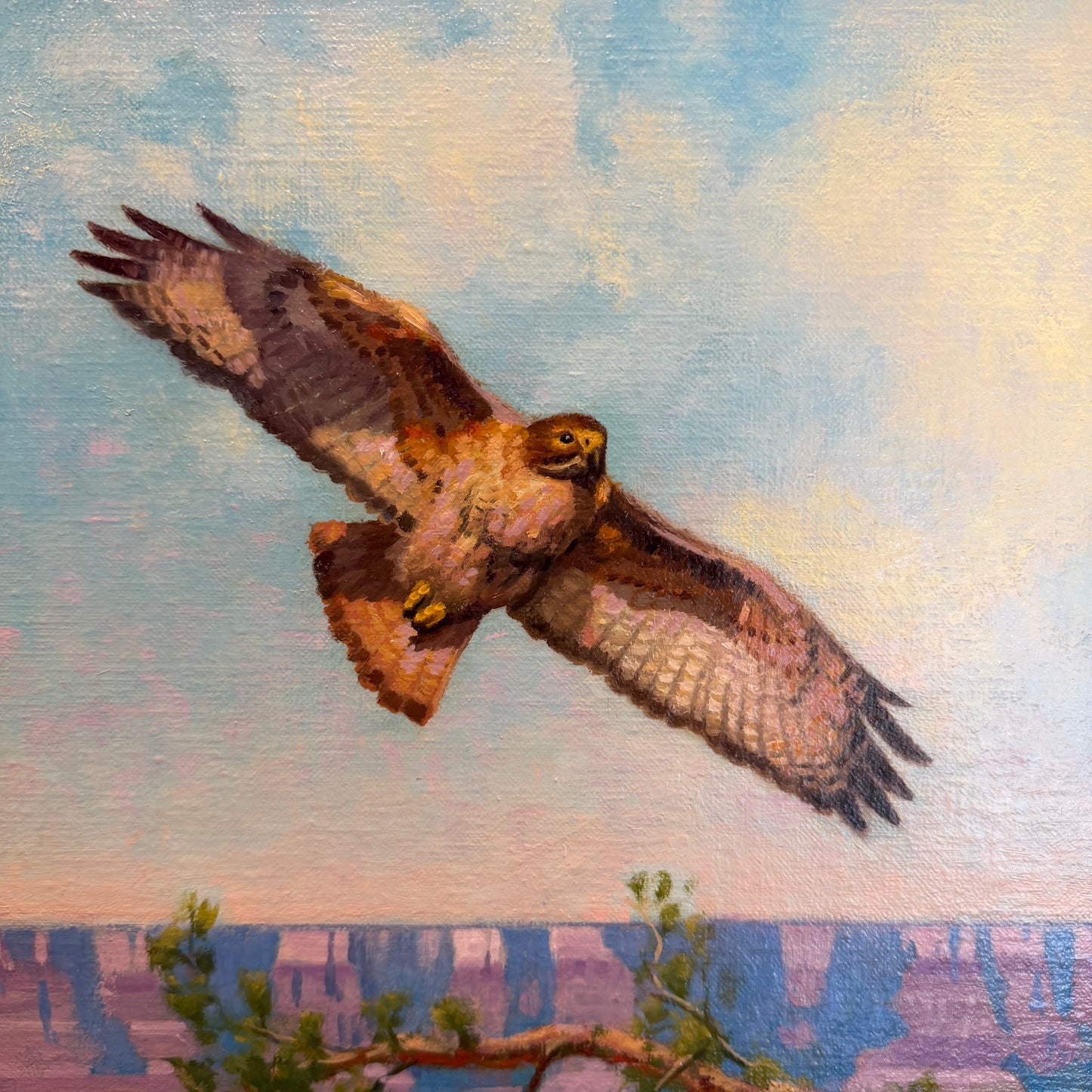 Painting of a hawk flying with a landscape in the background