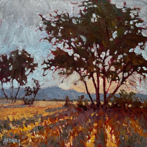 An impressionistic landscape painting featuring dark trees in a golden field under a cloudy sky, with a visible artist signature in the lower left corner.