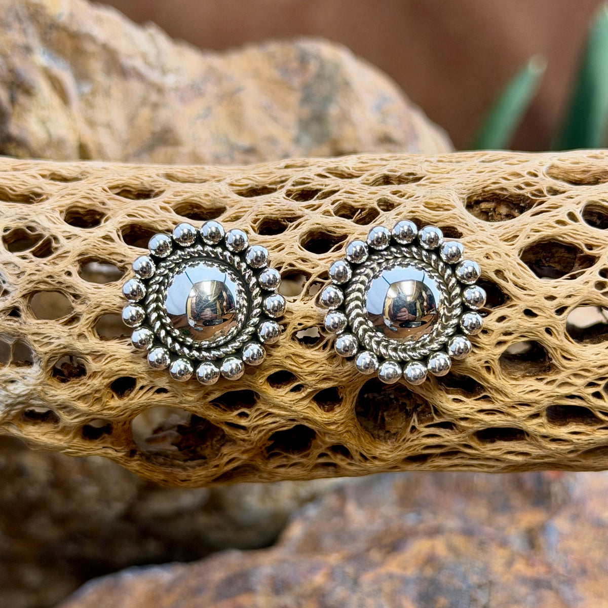 sterling silver dome earrings surrounded by inner twisted rope border and outer silver beads by artie yellowhorse. they hang on a piece of driftwood.