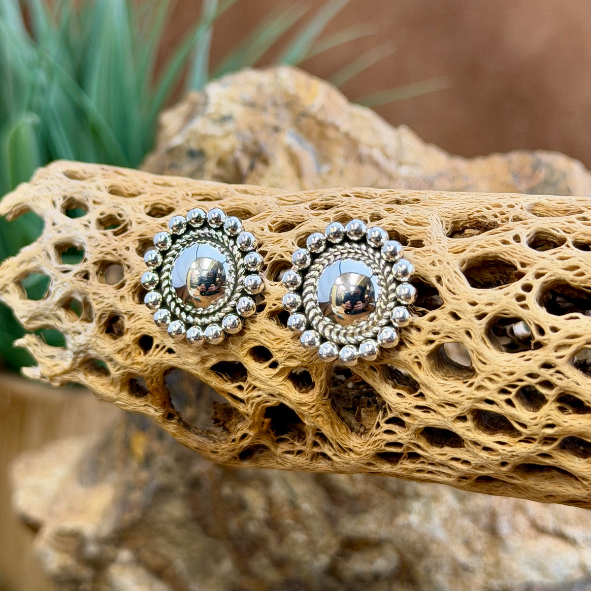 sterling silver dome earrings surrounded by inner twisted rope border and outer silver beads by artie yellowhorse. they hang on a piece of driftwood.